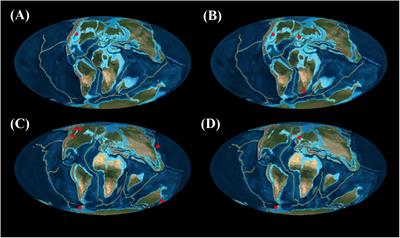 A New Hypothesis of the Phylogenetic Relationships of the Tylosaurinae (Squamata: Mosasauroidea)